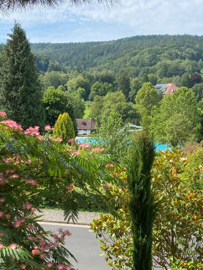 Ferienwohnung Palmenalm Bad Orb Luaran gambar